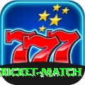 all cricket match King PK v4.6.6