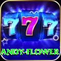 andy flower Mega PK v1.2.3