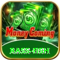 bass fish Max Pakistan