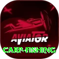 carp fishing Live Premium