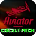 cricket pitch - Royal v2.8.6