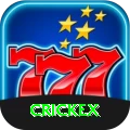 crickex Master Slots