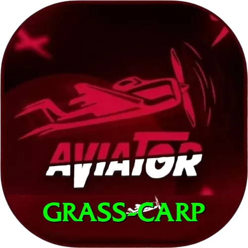 grass carp VIP APK v5.6.5 - 2