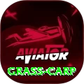 grass carp VIP APK v5.6.5