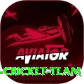 hong kong cricket team Casino Max v2.5.3