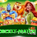 india cricket match Official v2.5.5