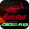 international cricket Deluxe v5.5.4