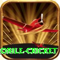mobile cricket King Gaming App