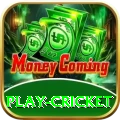 play cricket VIP - Win Real PKR