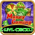 smartcric live cricket Game Turbo v2.0.9