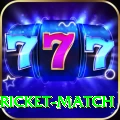 to day cricket match Slots Super v4.8.4