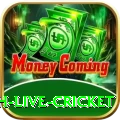watch live cricket Prime New