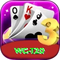 wc t20 Live Champion v3.4.3
