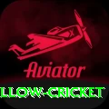 willow cricket Mega Gaming App